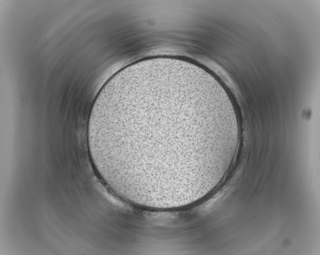 X0000091561337200709141528