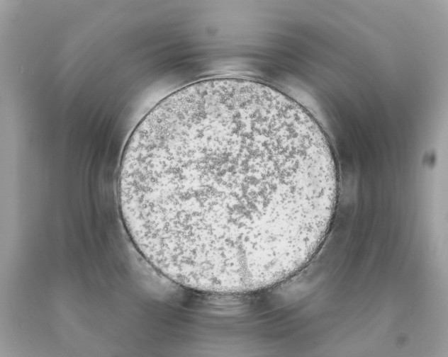 X0000091561338200709141528