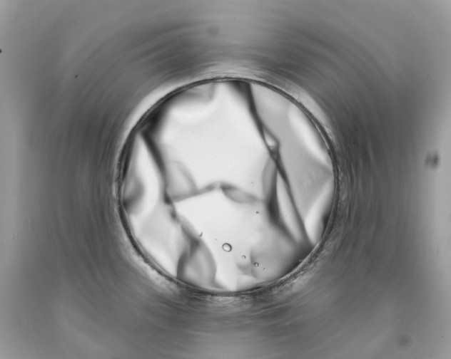 X0000091561339200709141528