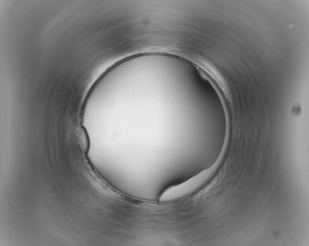 X0000091561340200709141528