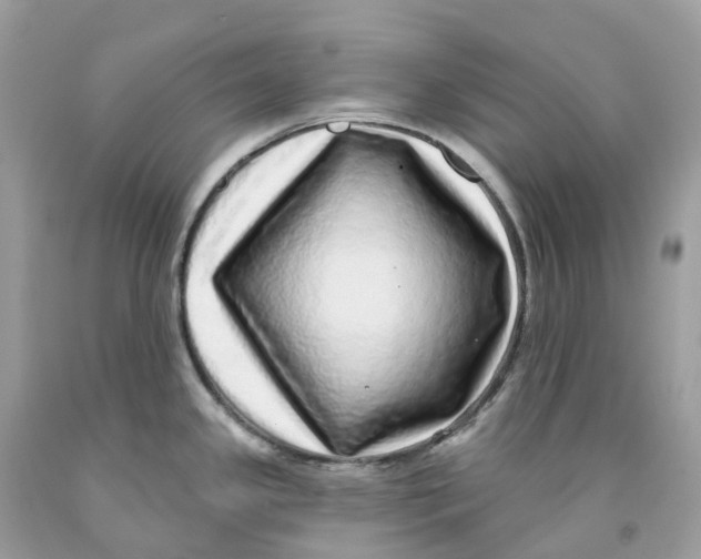 X0000091561341200709141528