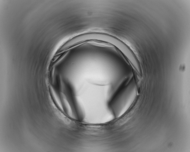 X0000091561342200709141528