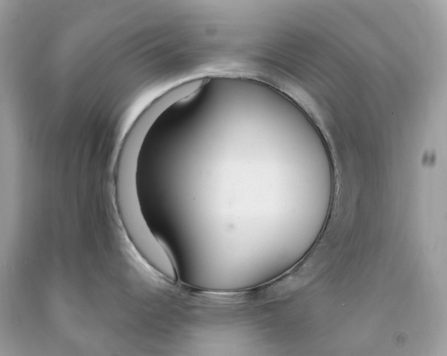 X0000091561344200709141528