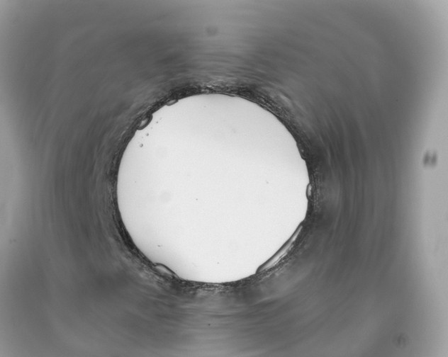 X0000091561345200709141528