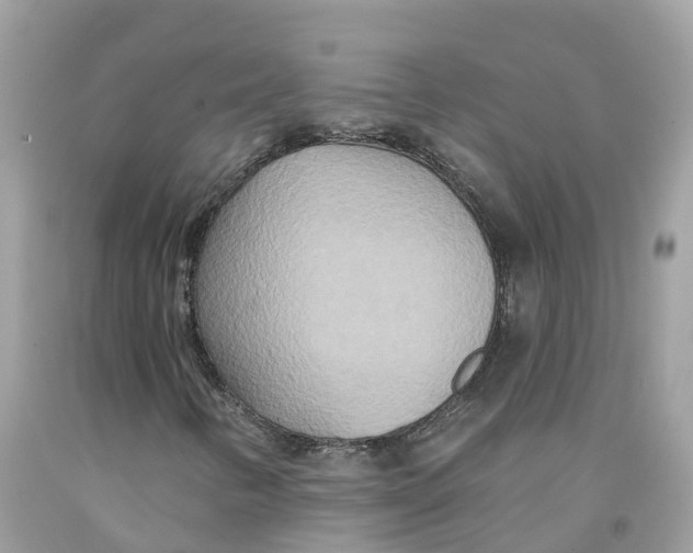 X0000091561346200709141528