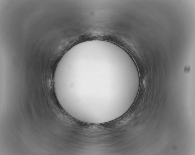 X0000091561348200709141528