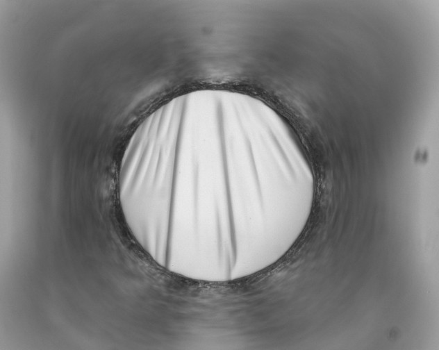 X0000091561349200709141528