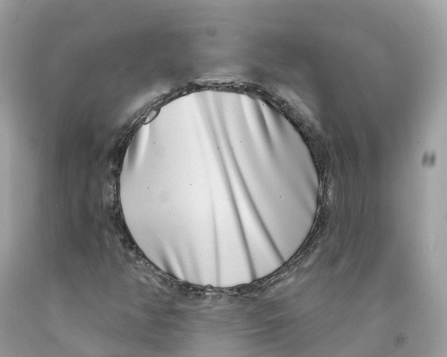 X0000091561350200709141528