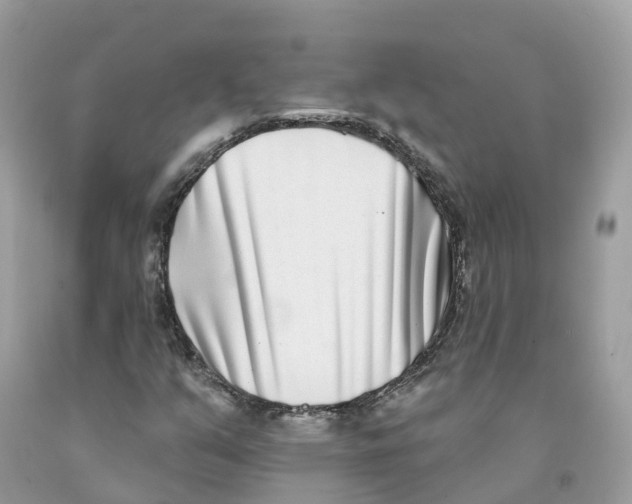 X0000091561351200709141528