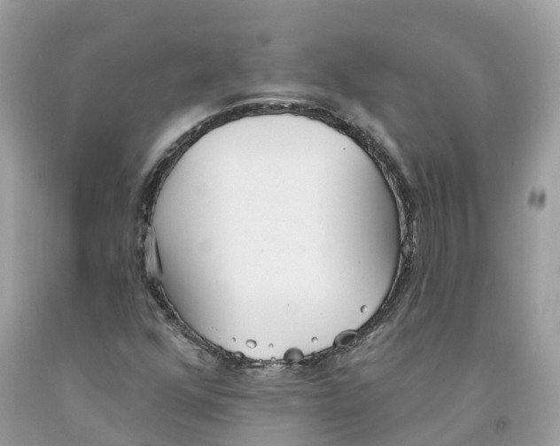 X0000091561352200709141527