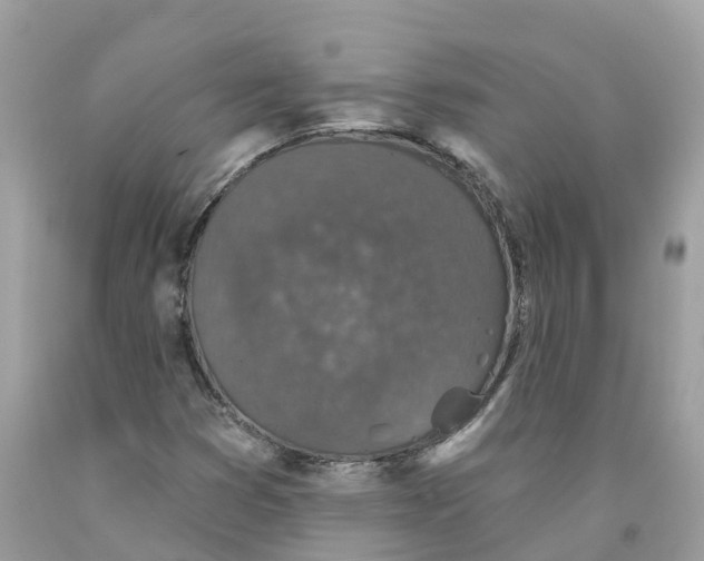 X0000091561353200709141527