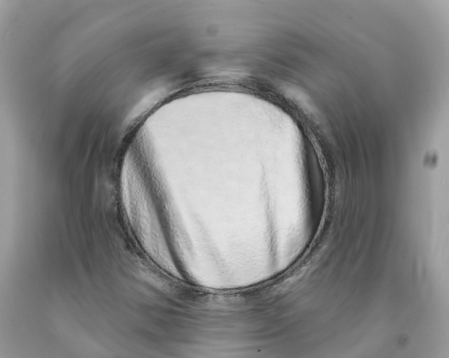 X0000091561354200709141527