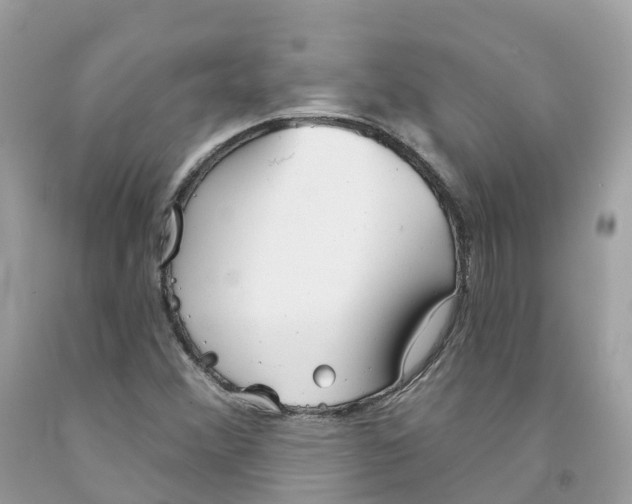 X0000091561356200709141527