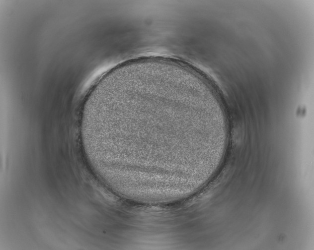 X0000091561359200709141527