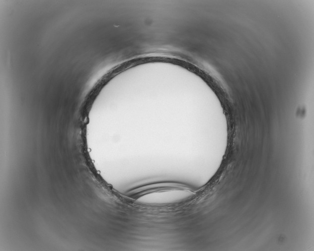 X0000091561360200709141527