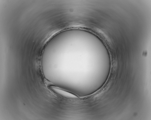 X0000091561361200709141527