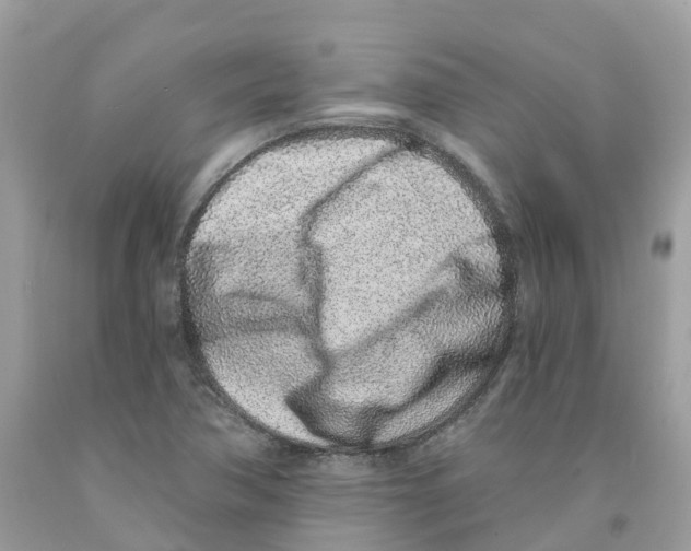 X0000091561362200709141527