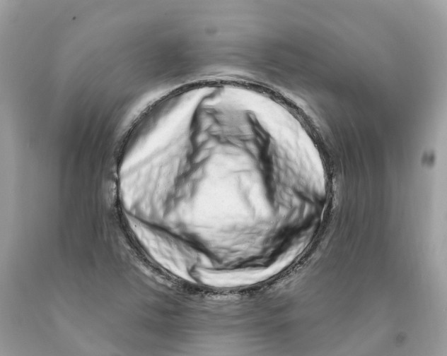 X0000091561363200709141527