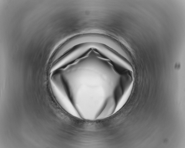 X0000091561364200709141527