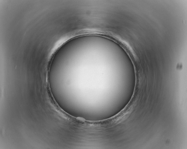 X0000091561365200709141527