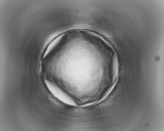 X0000091561366200709141527