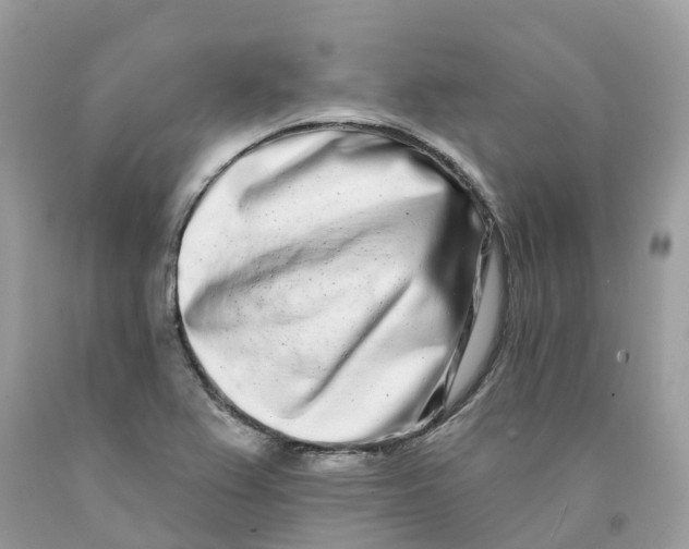 X0000091561367200709141527