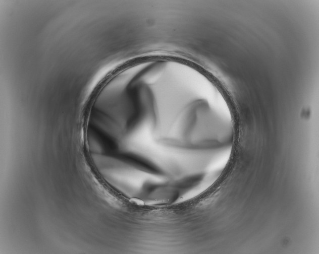 X0000091561368200709141527