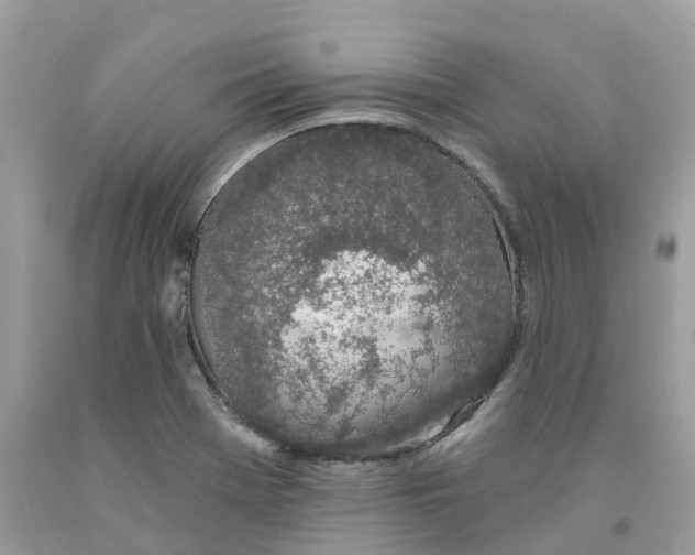 X0000091561369200709141527