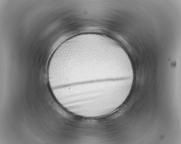 X0000091561370200709141527