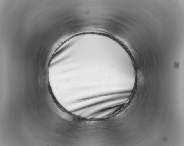 X0000091561371200709141527