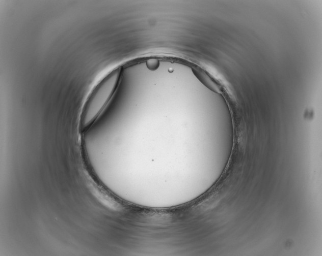 X0000091561372200709141527