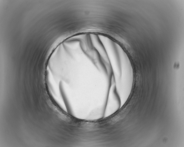 X0000091561374200709141527