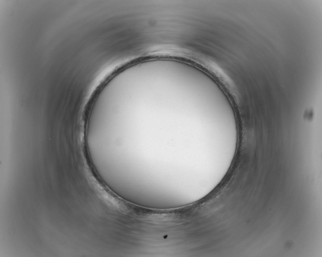 X0000091561376200709141527