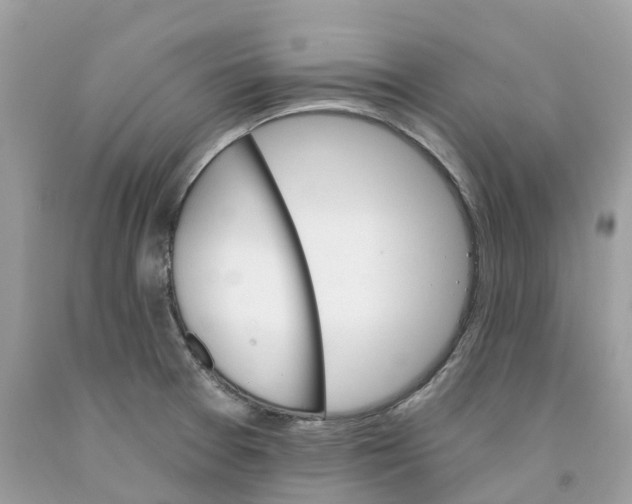 X0000091561377200709141527