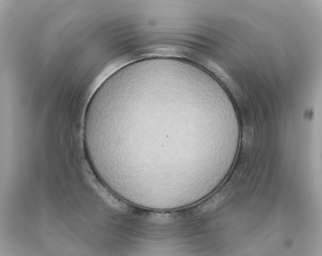 X0000091561378200709141527