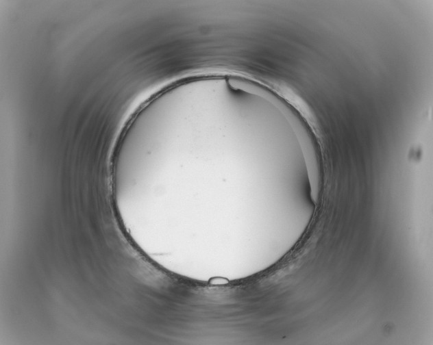 X0000091561380200709141527