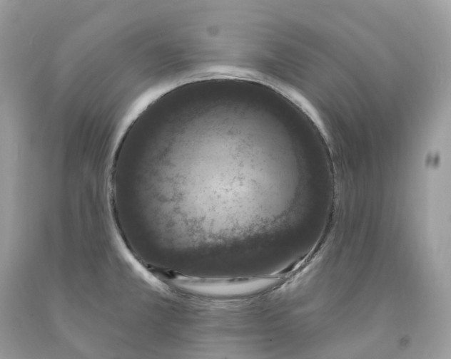 X0000091561381200709141527