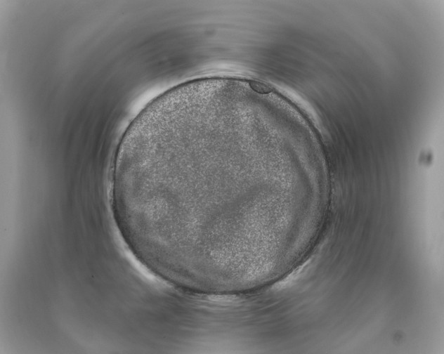 X0000091561383200709141527