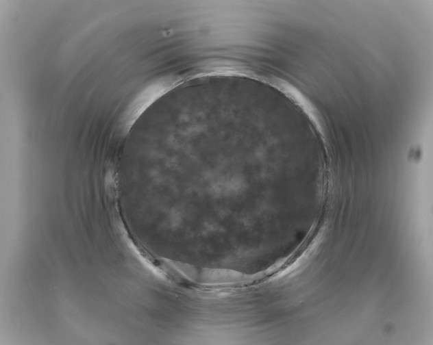 X0000091561385200709141527