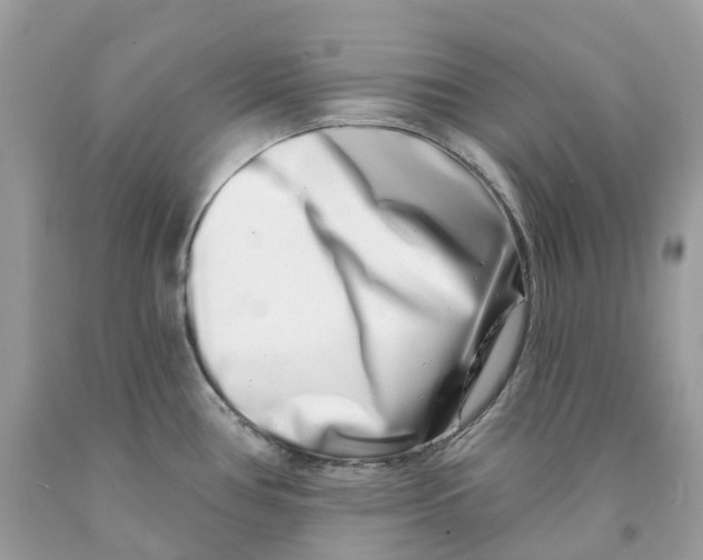 X0000091561386200709141527