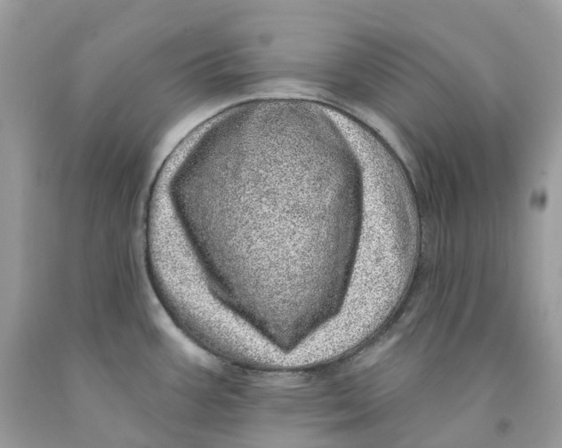 X0000091561387200709141527