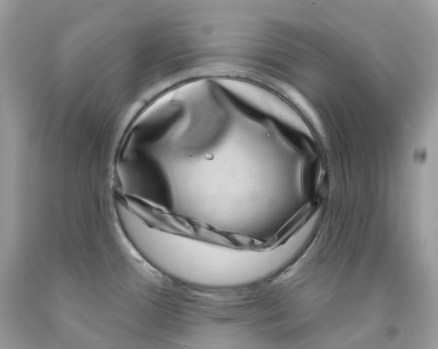 X0000091561388200709141527