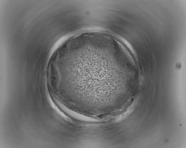 X0000091561389200709141527