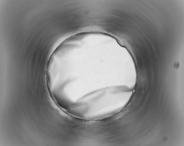 X0000091561390200709141527