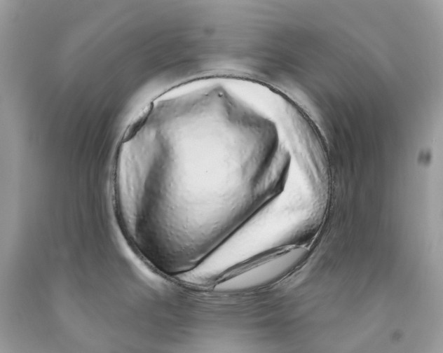 X0000091561391200709141527