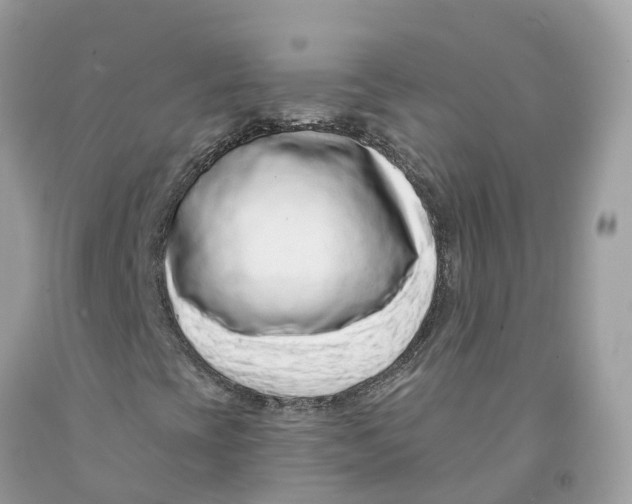 X0000091561393200709141526