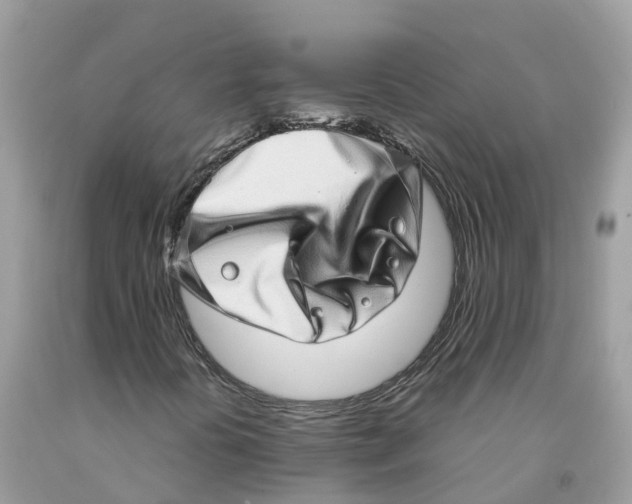 X0000091561394200709141526