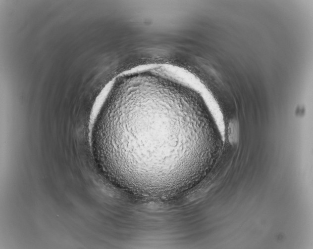 X0000091561395200709141526