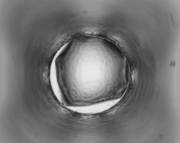 X0000091561396200709141526