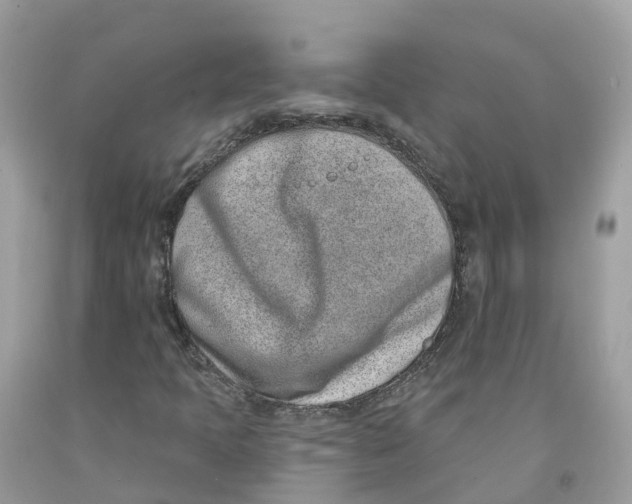 X0000091561397200709141526